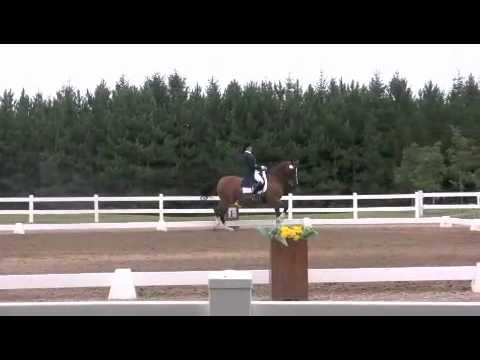 Palgrave Quintesse Intermediare 1