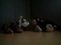videos de Webkinz Kung Fu Panda Sped up!