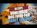 What Dog Food Is Best for Kidney Disease
