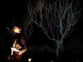 Mew Am I wry?No live in Moscow (High quality)