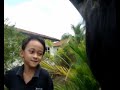 Perlis - CloverField Nazreen Style Perlis - CloverField Nazreen Style