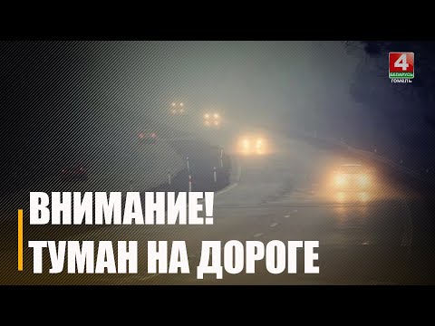 На этой неделе ожидается повышение температуры, ближе к выходным до +20°C видео