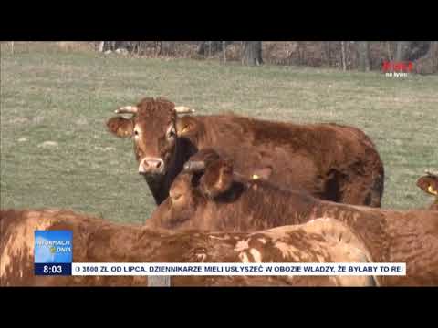 W Kielcach trwa V Europejski Parlament Wiejski