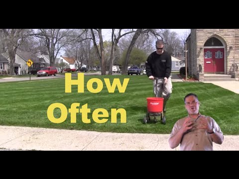 how to fertilize a lawn organically