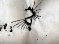 graj Terranova - "Question Mark"