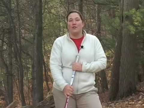 Recreational Fun For The Holidays