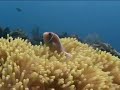 Jembrana-Bali Jembrana-Bali