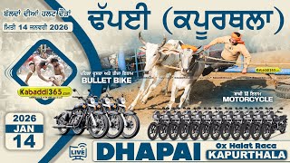  Dhapai (Kapurthala) OX Halat Race 14 Jan 2026