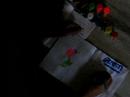 Sharmi Painting