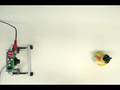 RoboSight - Neural Network Camera