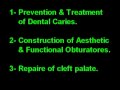 Case Presentation 4 Cleft Lip & Palate, stage 3,  Clinical Pediatric Dentistry