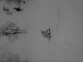 Freeride Hemsedal [Trailer]