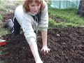 Potatoes - Claire\ Potatoes - Claire\