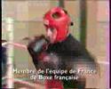 savate full contact boxe