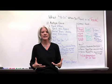 Managing Project Troubles Video