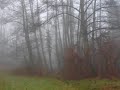 often confused with the vienna boys choir, s�ngerknaben vom wienerwald, the 