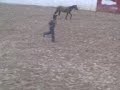Zorrito jineteando