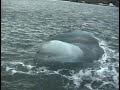 Bizarre stroming bij Spitsbergen