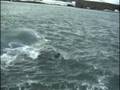 videos de Bizarre stroming bij Spitsbergen