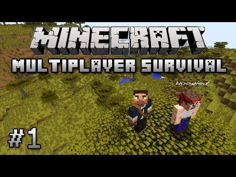 how to play a minecraft multiplayer