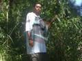 videos de mafia crip