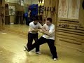 Chen Style Taijiquan Applications: Chen and Calandra Chen Style Taijiquan Applications: Chen and Calandra
