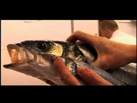 how to know fresh fish