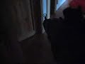 Perus Lassin Her�tys =)