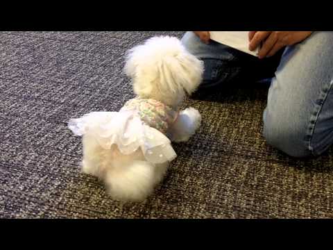 See video