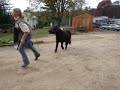 MOV08422