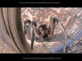 Super-Vampire Reaper-Face Foot-Sucking Wolf Spider