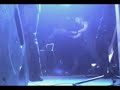 maelstr�m - t�tard (live @ le vip st nazaire 19_05_07