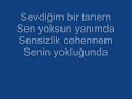 senin yoklu?unda.wmv