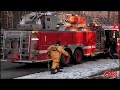 Dog Trapped in Ice Rescued