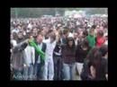 Festival Reportage