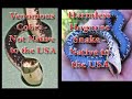  Cobras venomous snake exotic animal hognose monocled cobra spitting spectacled pakistan egyptian wildlife reptiles pet