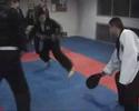 exámen hapkido alicante centauros gym