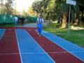 videos de DSCN1773.MOV