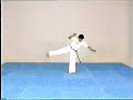Advanced Capoeira. Mestre Paulao Ceara. 07-3 Advanced Capoeira. Mestre Paulao Ceara. 07-3