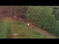 gigi galli broke his left femur in his crash on ss5 today and will undergo surgery this evening to repair the bone.
the italian crashed his stobart vk m-sport ford focus 12km from the start of the stage on a fifth-gear right-hand corner. the car stopped after a heavy impact with a tree stump on galli's side.
medical crews were quickly on the scene and galli was air-lifted to the barmherzige hospital in trier, where he will remain tonight.
galli's co-driver giovanni bernacchini was also taken to hospital for precautionary checks but was given the all-clear this evening.