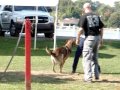 Fall Decoy Seminar
