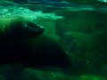 Dalian China: Inside Water Zoo Dalian China: Inside Water Zoo
