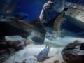 MARINE WORLD