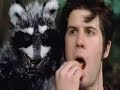 Ed Harcourt in \"Raccoon Boy\"