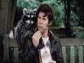 Ed Harcourt in "Raccoon Boy"