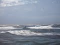 MOV02645