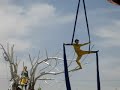 Circo del Sol en Expo Zaragoza 2008 Circo del Sol en Expo Zaragoza 2008