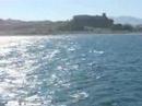 Marina Charters - FRANA Fishing Trips Marina Charters - FRANA Fishing Trips