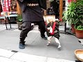 Street Performance Of Bunraku(Puppeteer)_at ASAKUSA TOKYO(2)