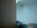 videos de retarded dinosaur